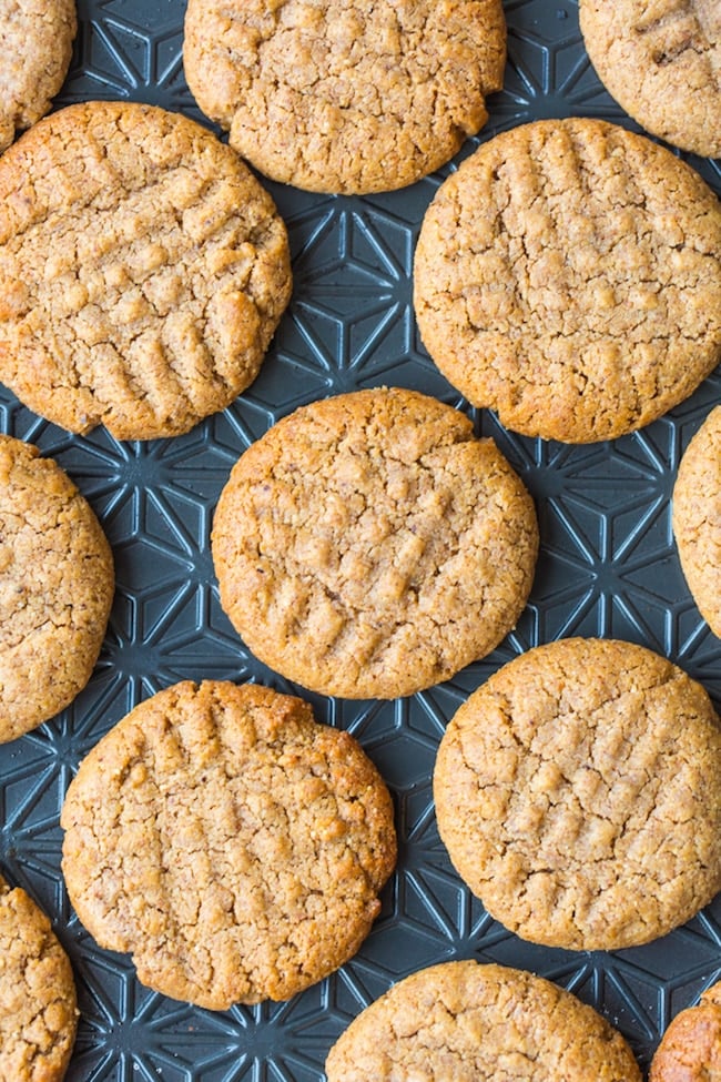 almond butter cookies on a cookie sheet