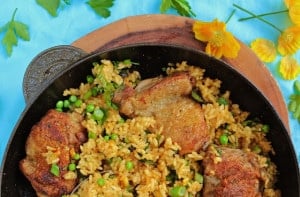 Low Fodmap Chicken & Fresh Herb Paella