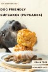 Dog Cupcake