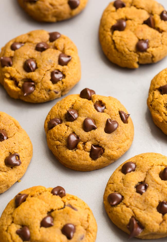 Gluten Free Vegan Pumpkin Chocolate Chip Cookies on a cookie sheet