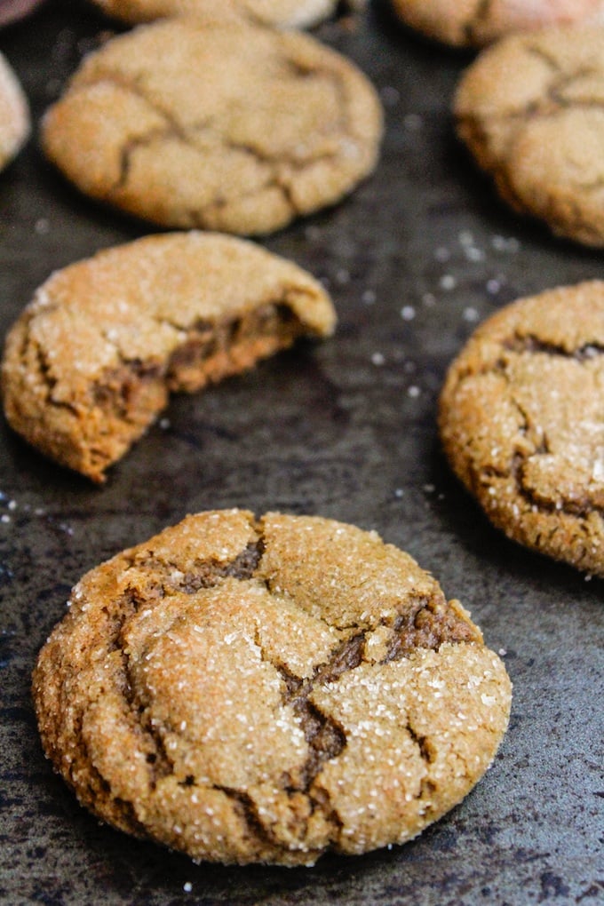 Soft and chewy cardamom spiced ginger cookies. Made in one bowl and ready in under an hour, these spiced cookies are grain, dairy, and nut free. 