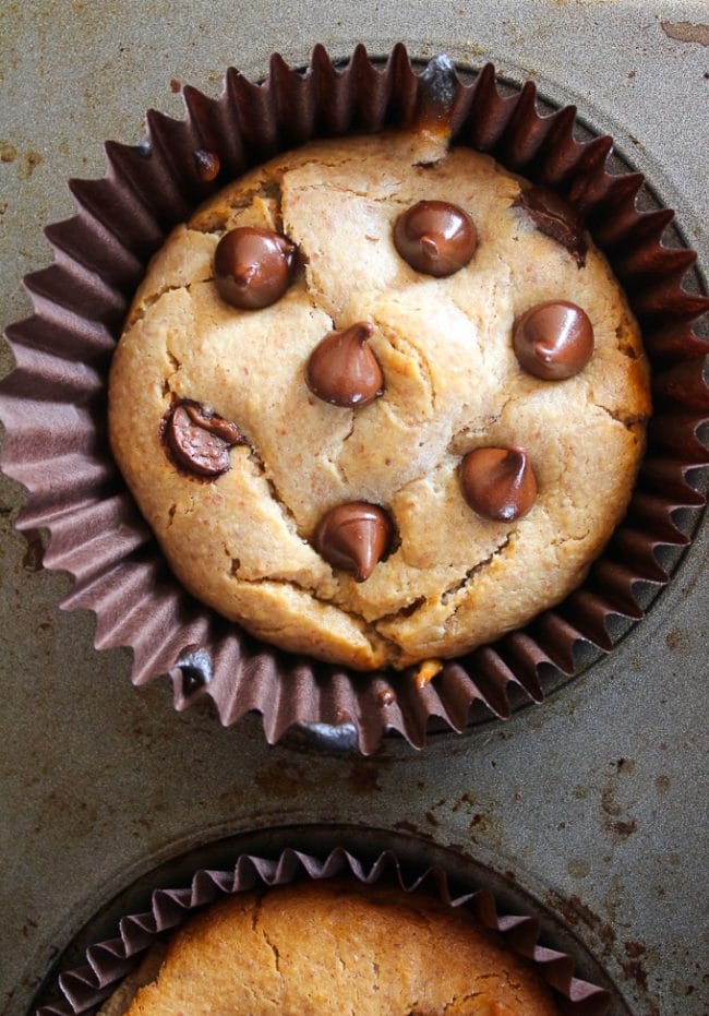 almond butter blender muffin still in the muffin tin