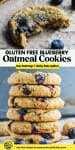 Oatmeal Blueberry Cookies pinterest marketing image
