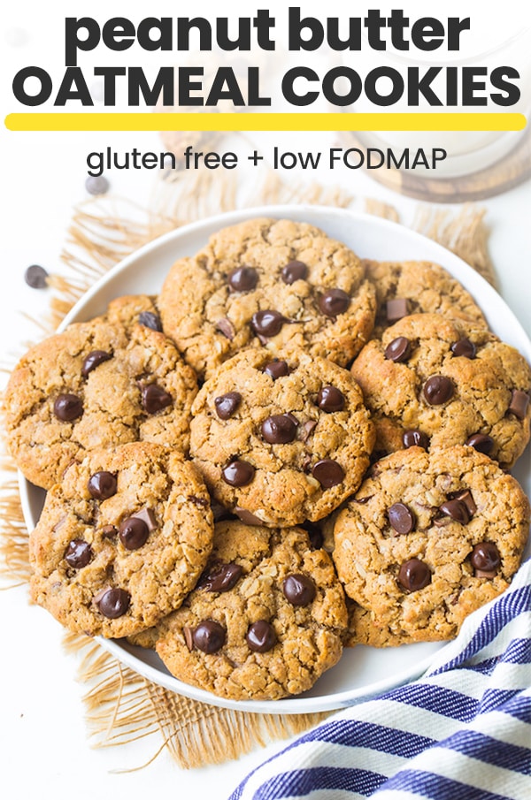 flourless peanut butter oatmeal cookies