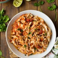 Salsa Chicken