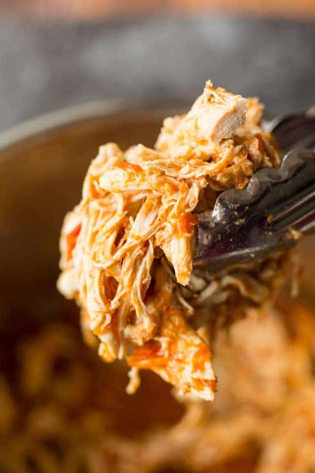 shredded salsa chicken held up with tongs