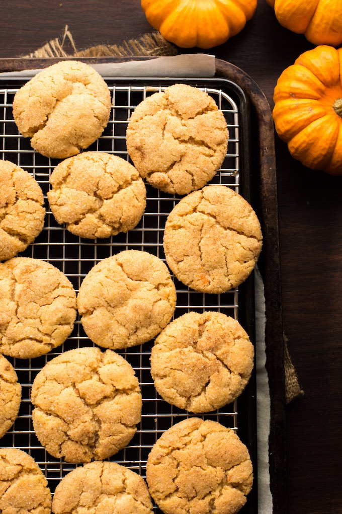 Chai Spiced Pumpkin Snickerdoodles - soft and chewy pumpkin cookies with all the cozy flavours of fall! Gluten Free + Vegan Options