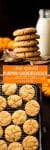 Chai Spiced Pumpkin Snickerdoodles - soft and chewy pumpkin cookies with all the cozy flavours of fall! Gluten Free + Vegan Options pin graphic