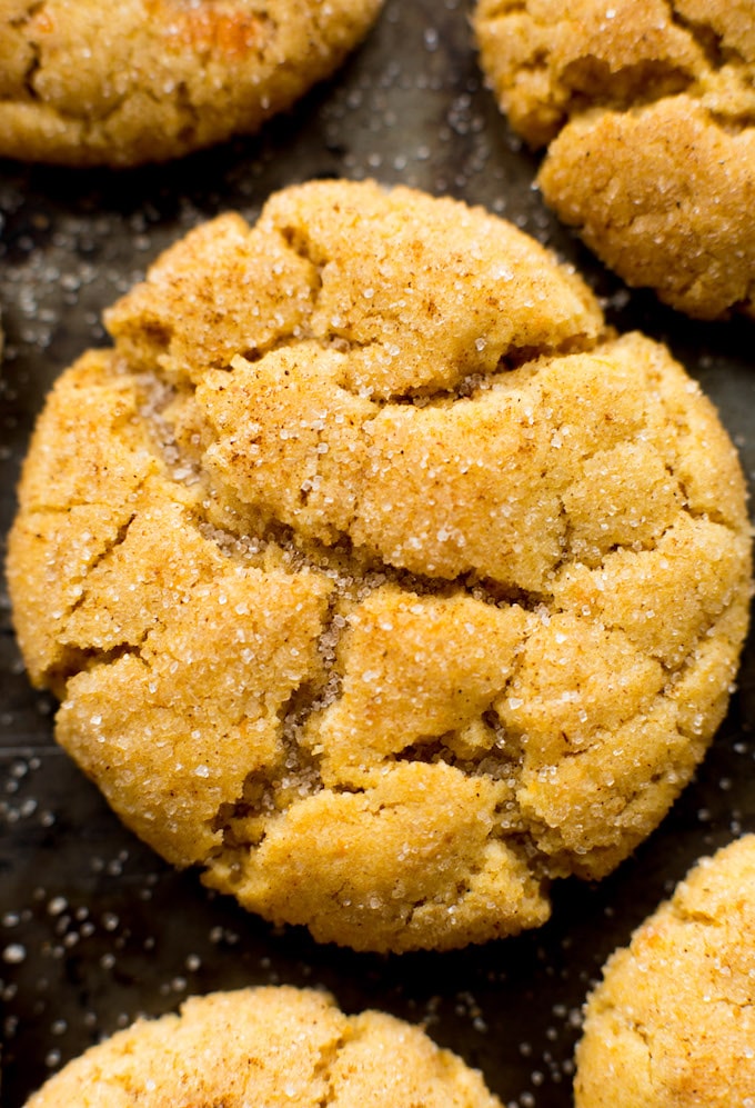 Chai Spiced Pumpkin Snickerdoodles - soft and chewy pumpkin cookies with all the cozy flavours of fall! Gluten Free + Vegan Options