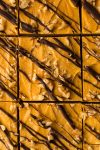 No Bake Pumpkin Cheesecake (Paleo + Vegan)