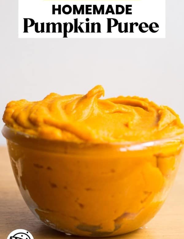 PUMPKIN PUREE PIN GRPAHIC