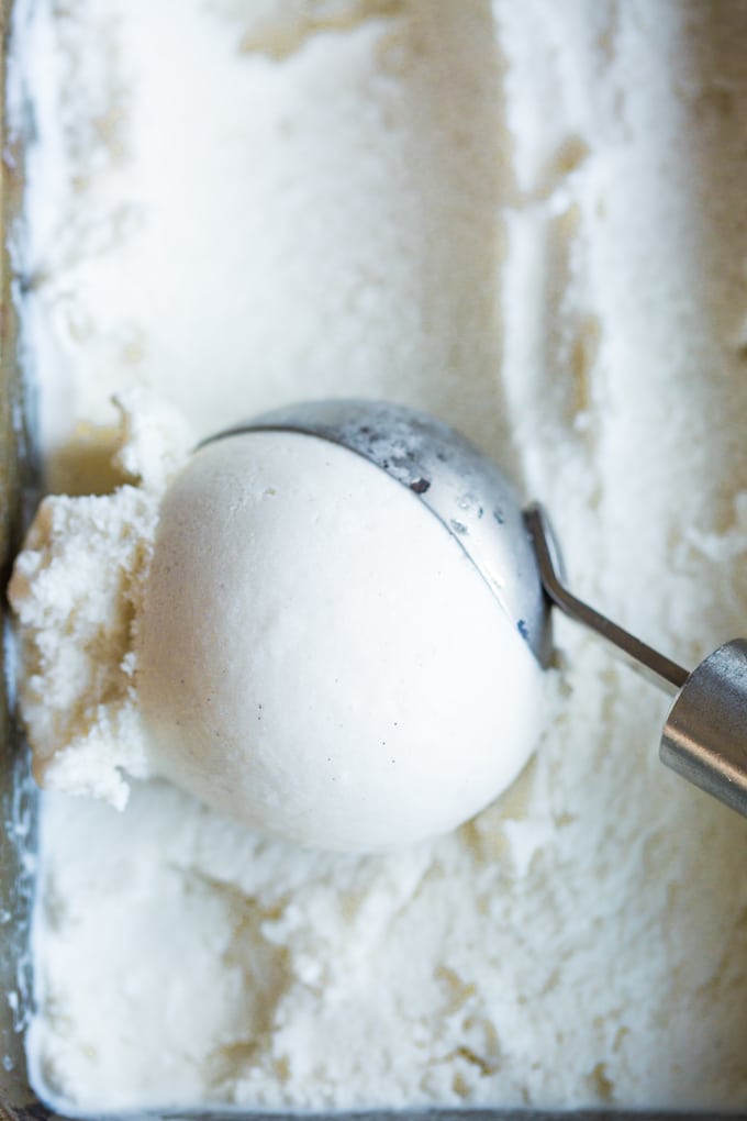 up close scoop of Coconut Vanilla Ice Cream 