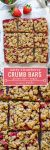 strawberry crumb bars pinterest graphic