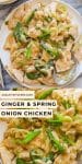 Ginger and Spring Onion Chicken pin graphic