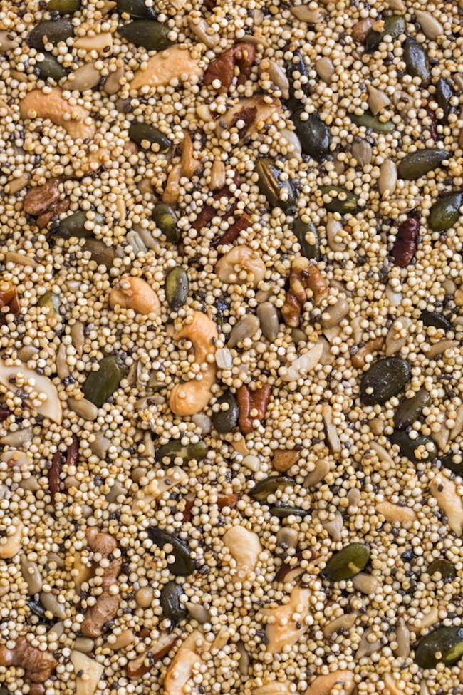 Seedy Quinoa Brittle up close