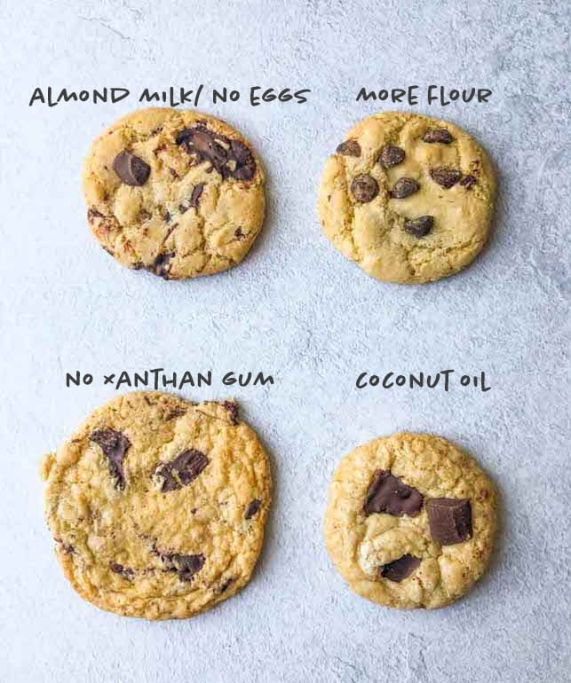 gluten free chocolate chip cookies testers