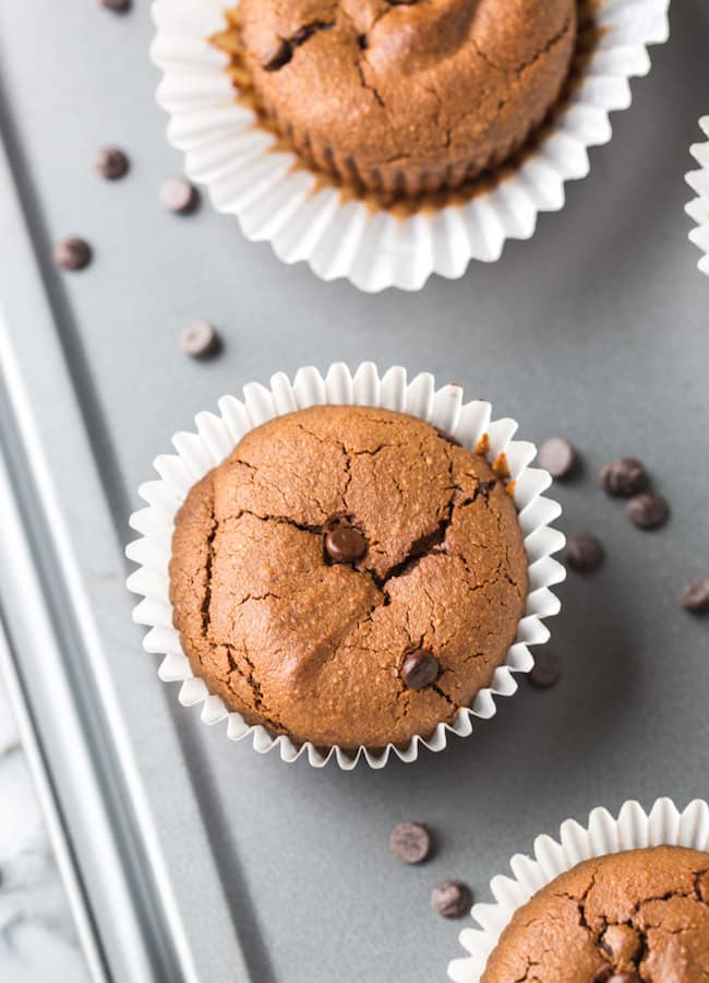 Paleo Vegan Chocolate Muffins surrounded by chocolate chips