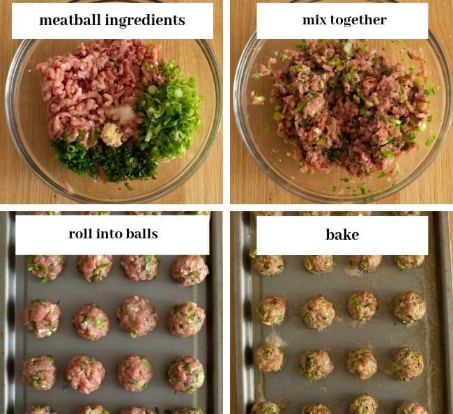 Chicken-Meatball-Coconut-Curry meatball collage