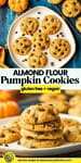 Almond Flour Chocolate Chip Pumpkin Cookies pinterest image: gluten free + vegan