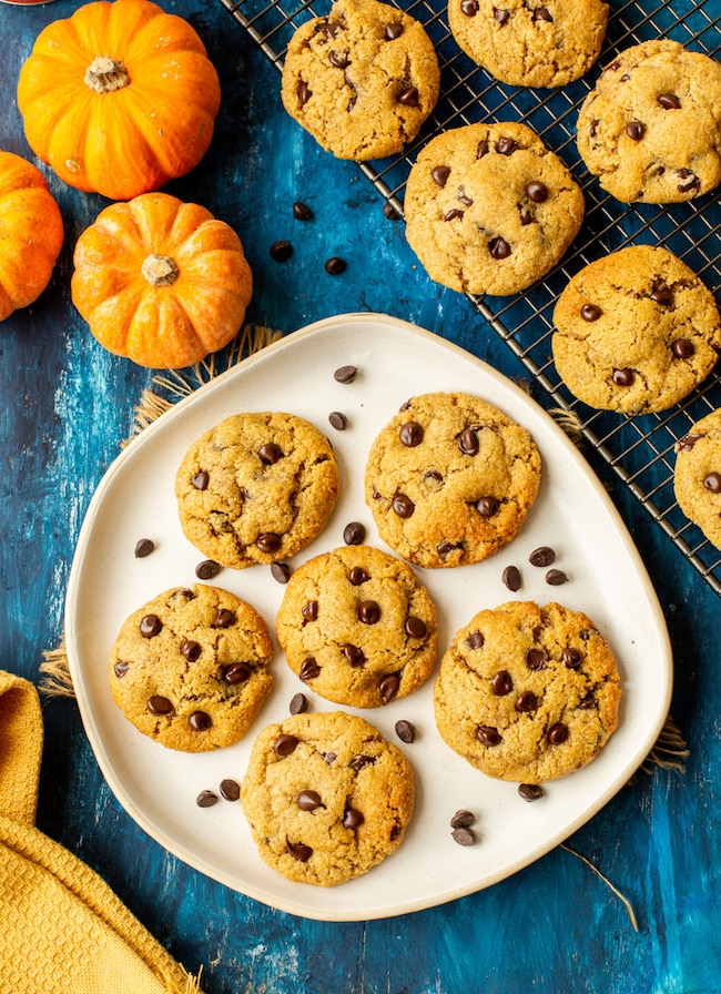 Chocolate Chip Pumpkin Cookies with Almond Flour on a plate