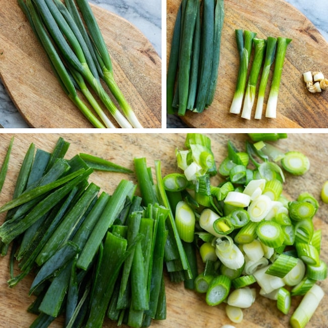 spring onion collage