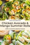 Chicken Avocado & Mango Summer Rolls pin graphic