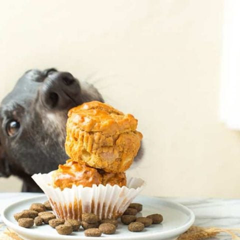 peanut butter banana dog cupcakes