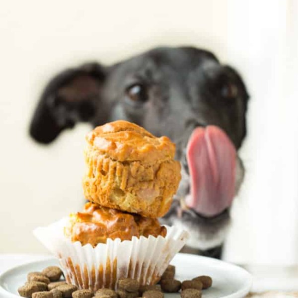 dog cupcake with greyhound licking lips in back
