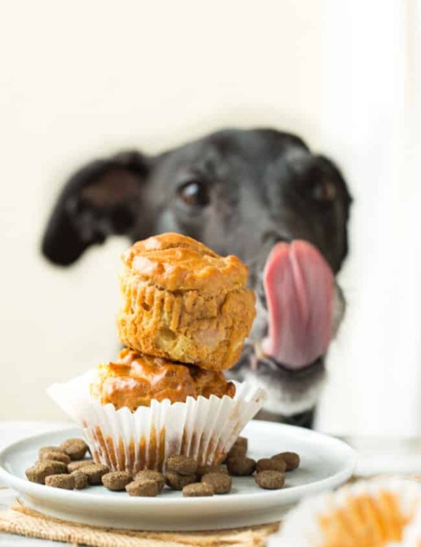 dog cupcake with greyhound licking lips in back