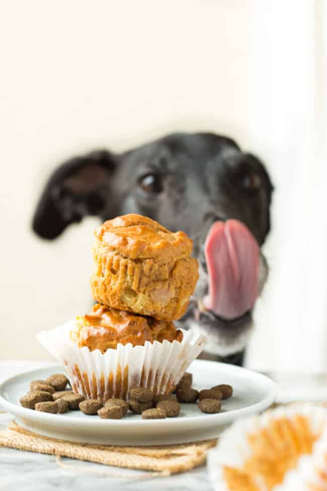 two dog cupcakes on a plate with a greyhound licking lips in back