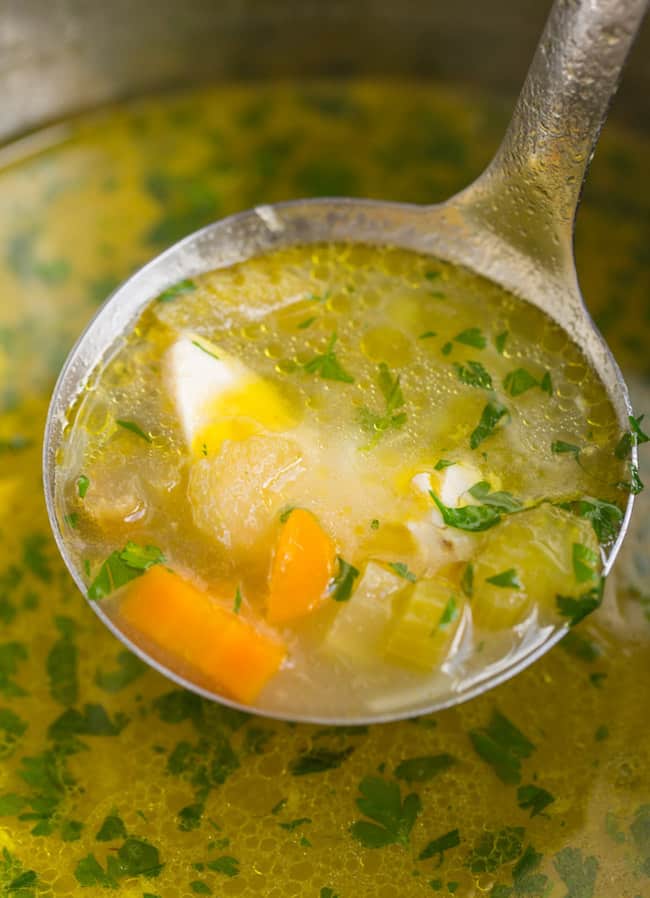 ladle full of Instant Pot Chicken Soup