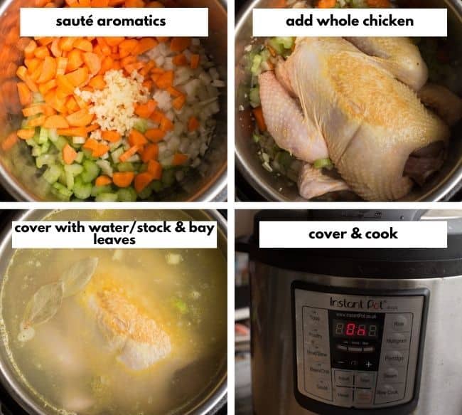 From Scratch Instant Pot Chicken Soup collage