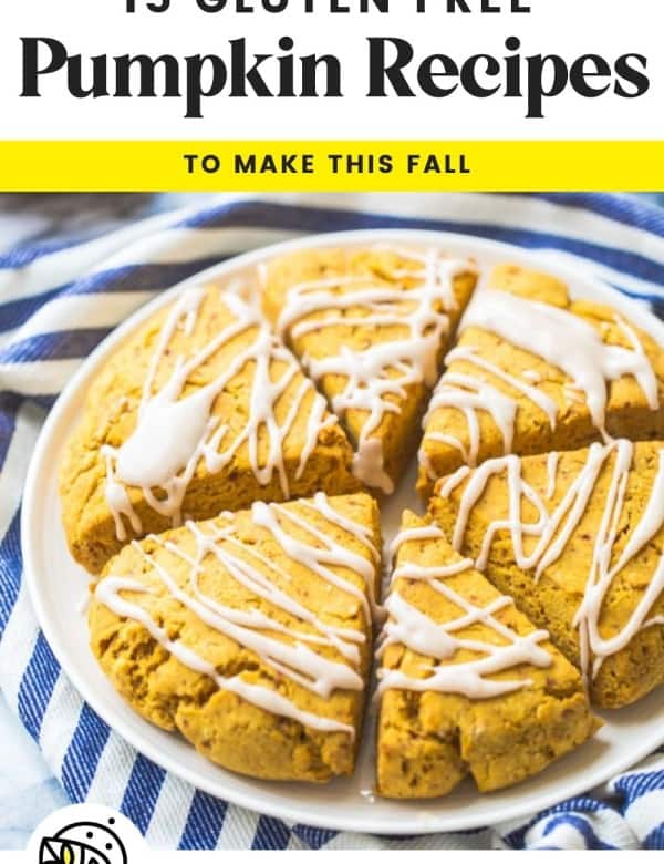 pumpkin recipes cover photo