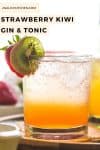Strawberry Kiwi Gin & Tonic PIN GRAPHIC