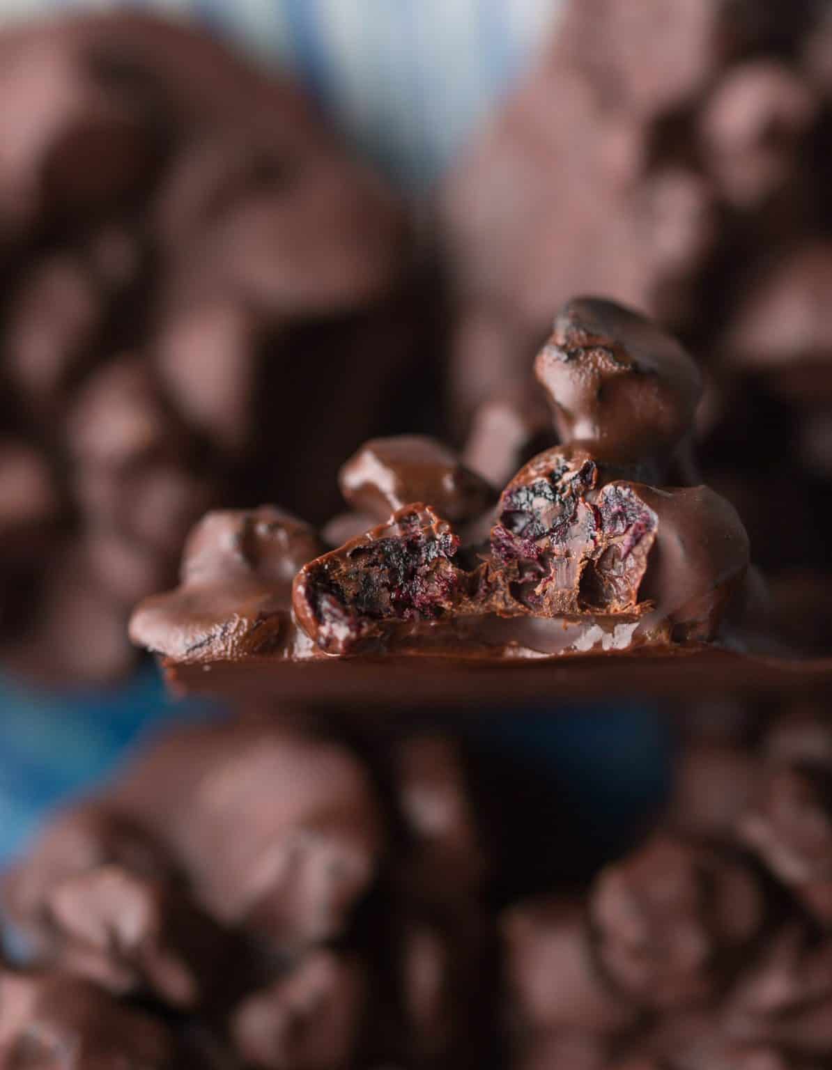 Chocolate Covered Blueberries (Fresh or Dried) A Saucy Kitchen