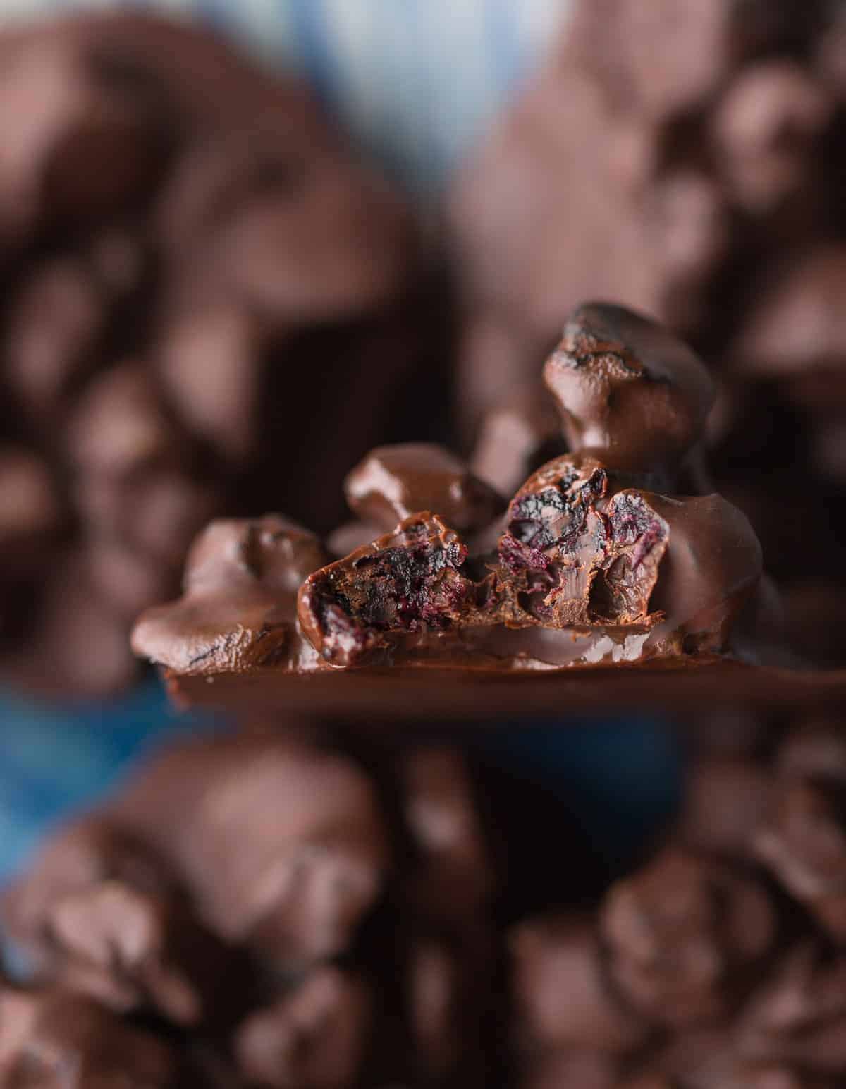 Chocolate Covered Blueberries (Fresh or Dried) A Saucy Kitchen