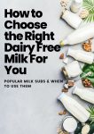 dairy free milk substitute guide graphic for pinterest