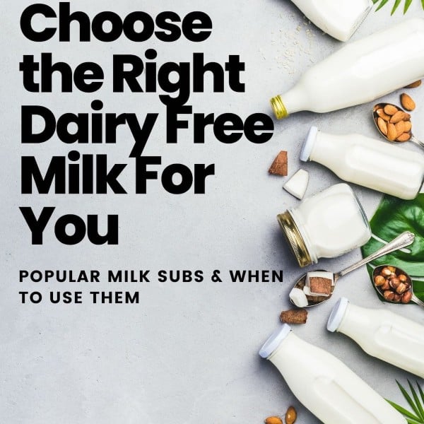 dairy free milk substitute guide graphic for pinterest