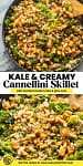 kale and creamy cannellini skillet pinterest graphic