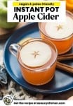 Instant Pot Apple Cider Pin Image