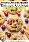 Chocolate Cranberry Oatmeal Cookies pinterest image