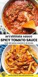 Arrabbiata Sauce (Spicy Tomato Sauce) pinterest image