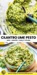 Cilantro Lime Pesto Pinterest Collage