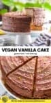 vegan vanilla cake pinterest graphi