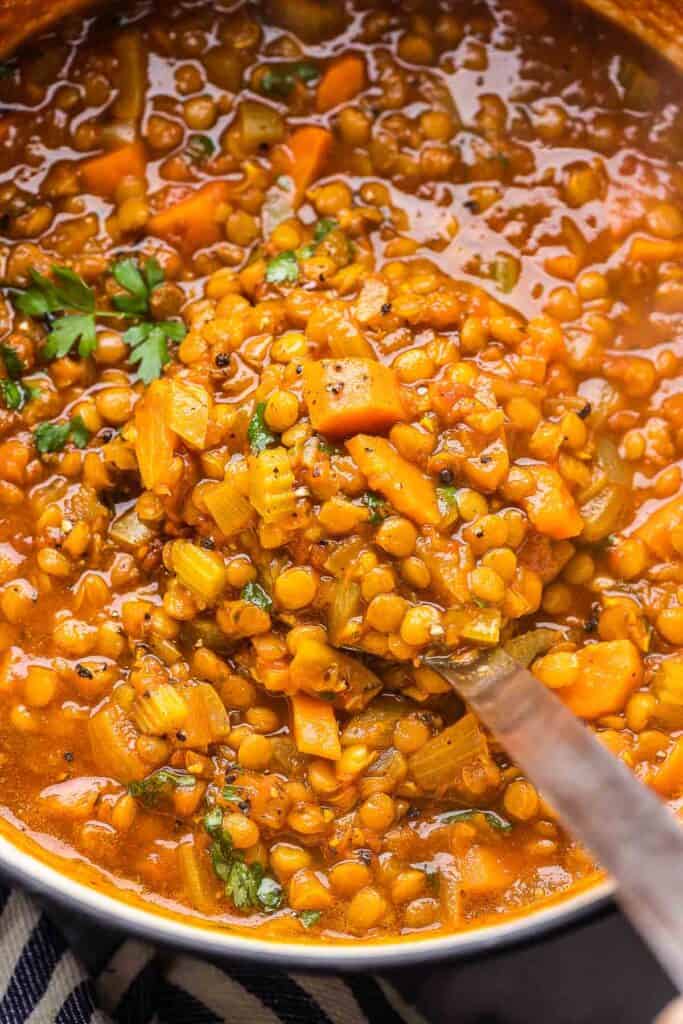 a ladle full of Curried Tomato Lentil Soup