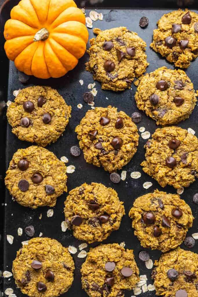 a dozen oatmeal pumpkin cookies with chocolate chips on a baking sheet sprinkled with oats and a mini pumpkin