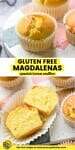 Gluten Free Magdalenas (Spanish Lemon Muffins) pinterest graphic