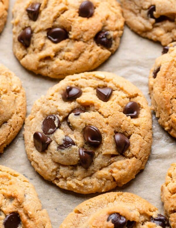 millet flour peanut butter chocolate chip cookies