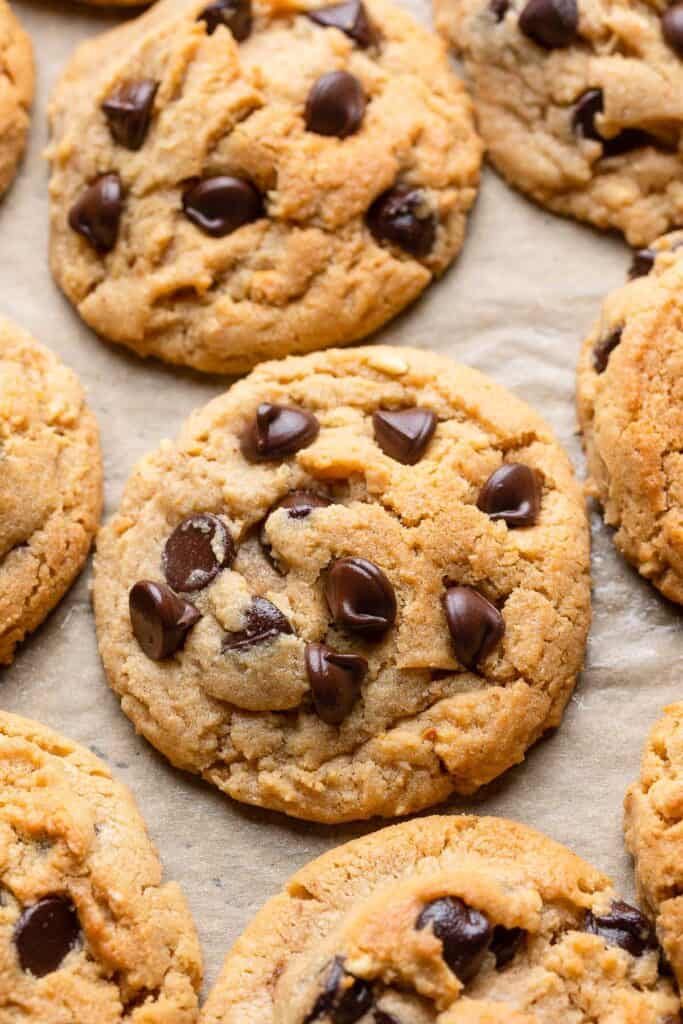 an up close look at a Peanut Butter Cookie with chocolate chips made with Millet Flour  
