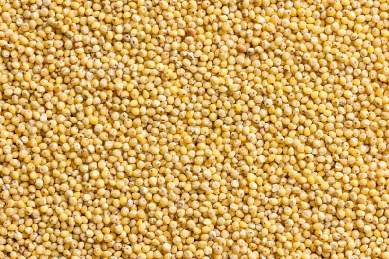 Millet Flour How & Why To Use It A Saucy Kitchen